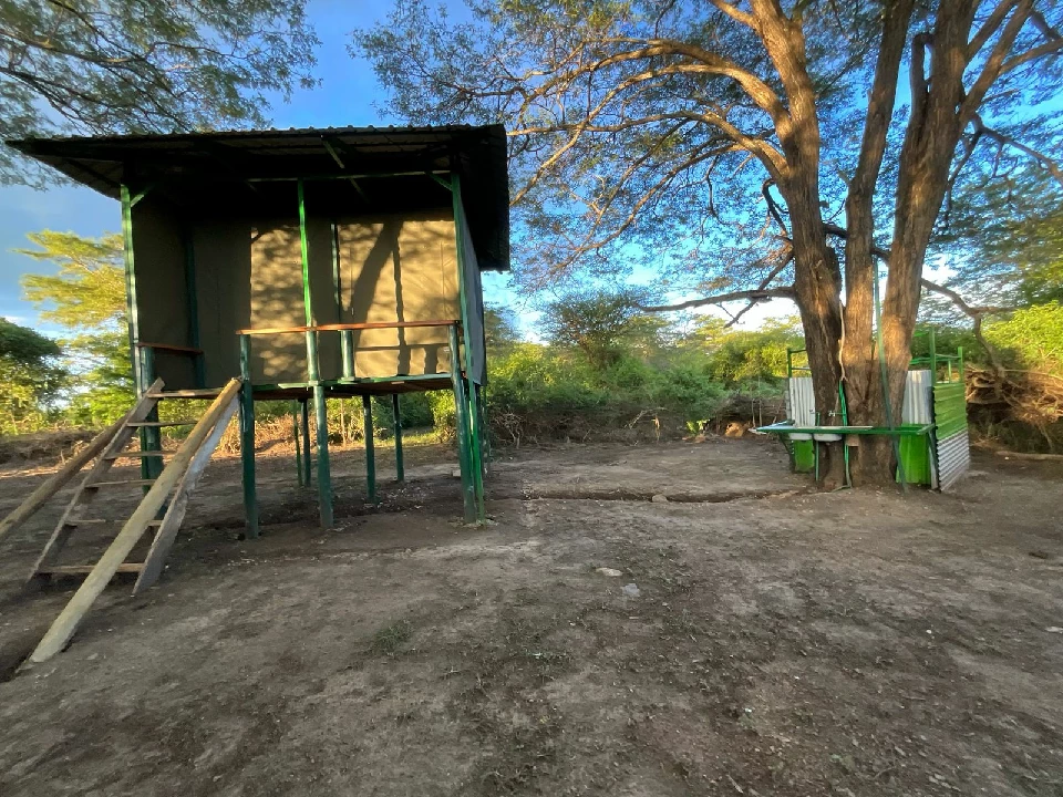 Tree House under large trees